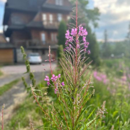 Willa Alta Bukowina Tatrzańska Exterior foto