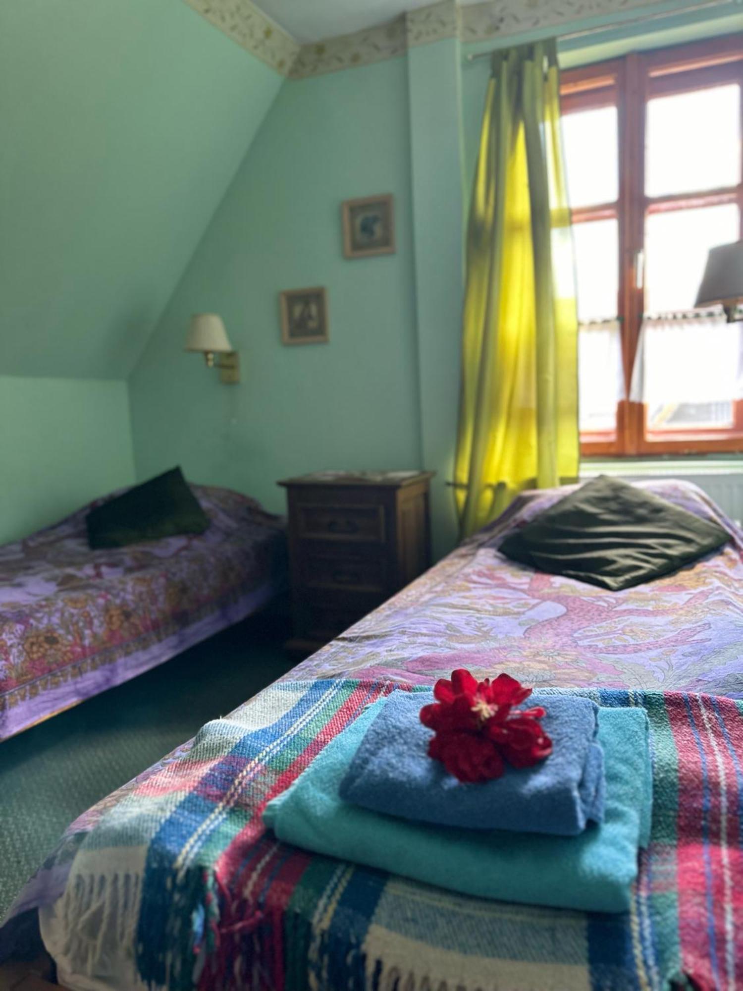 Willa Alta Bukowina Tatrzańska Exterior foto