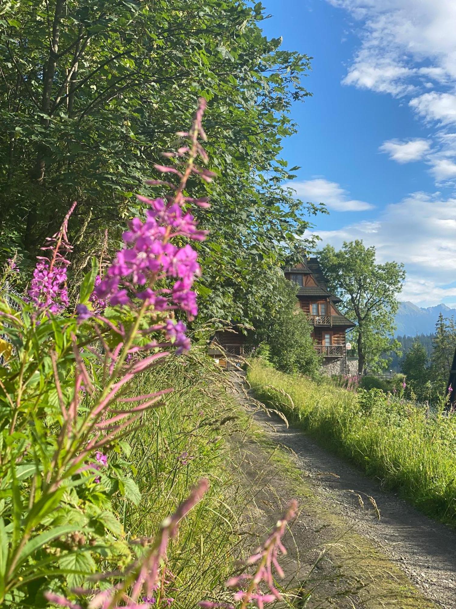Willa Alta Bukowina Tatrzańska Exterior foto